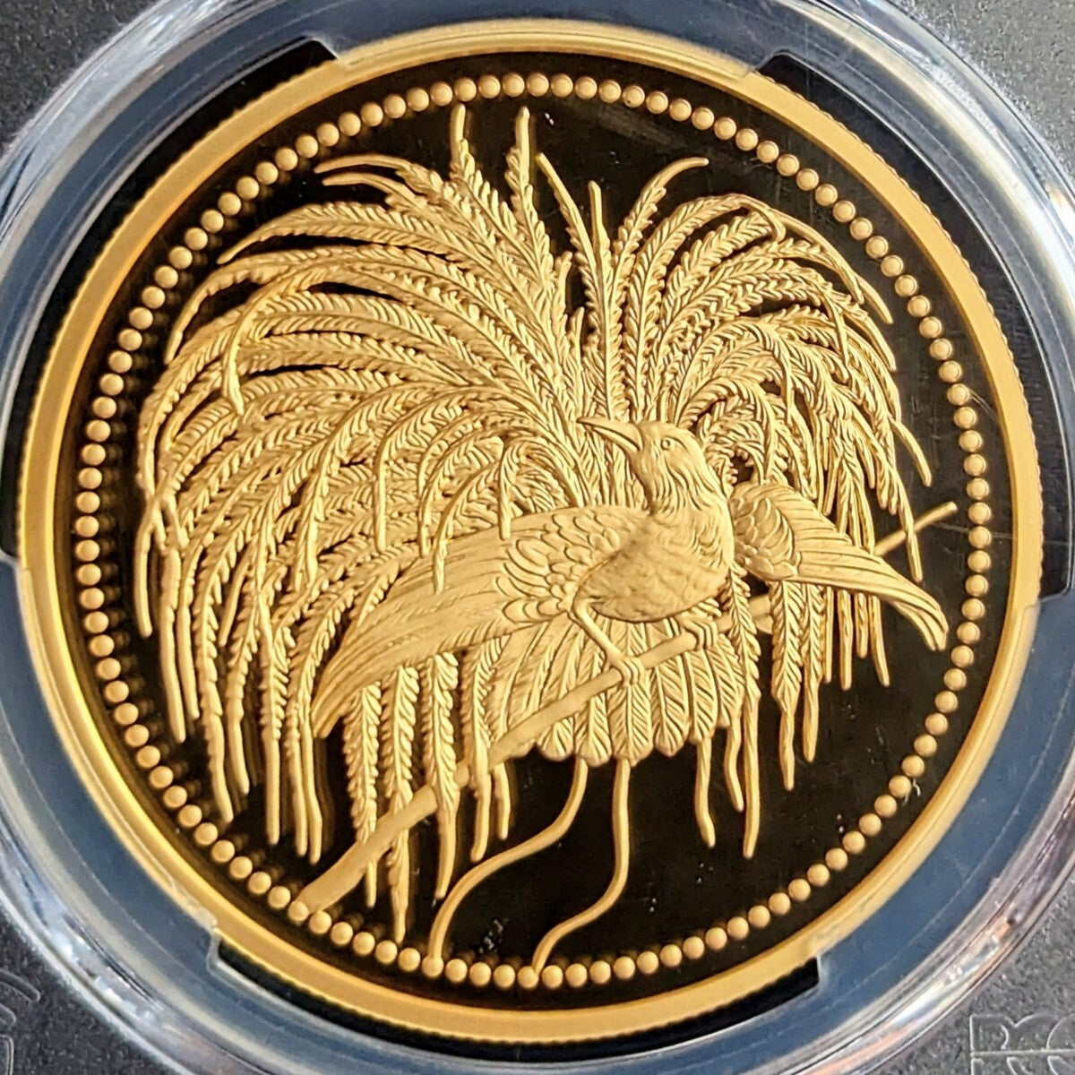 金貨【最高鑑定 2020年 極楽鳥金貨 PCGS PR70DCAM 鑑定 】パプアニューギニア 500K パラダイスバード 純金 31.1g 1oz 説明書 木製箱付き